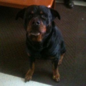 Meet your Posher, Ashlee